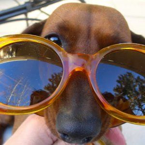 Meet your Posher, Patricia